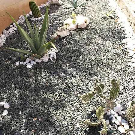 شقة Mdk Kate تروغير