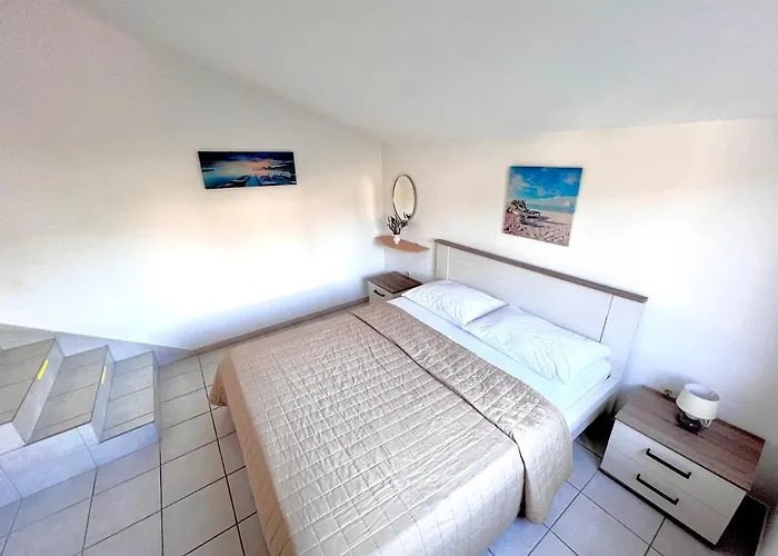 Mdk Kate טרוגיר