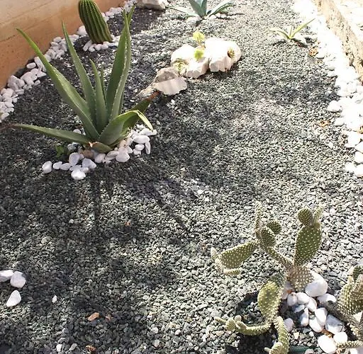 דירה Mdk Kate טרוגיר